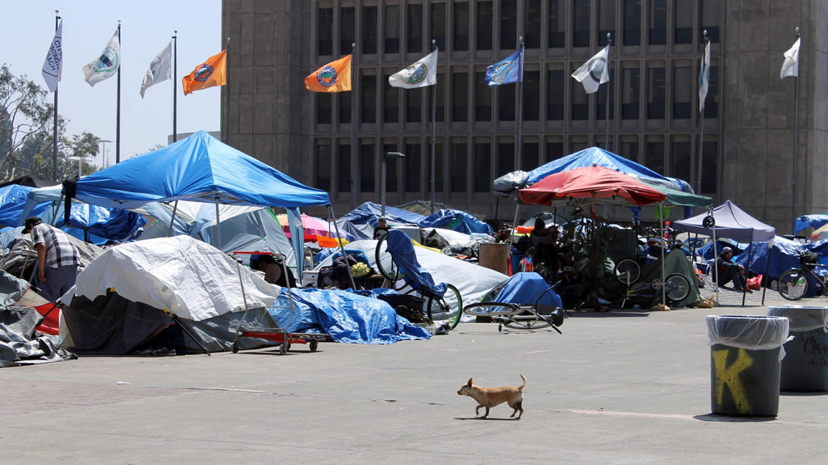 Homeless Camp With Tents And Popup Tents With Small Dog Walking On Street With Flags And Buildings In Background