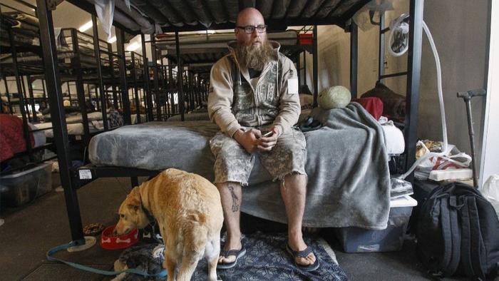 Veteran Man With Long Beard Wearing Glasses Sitting On Bunk Bed With Yellow Dog In San Diego